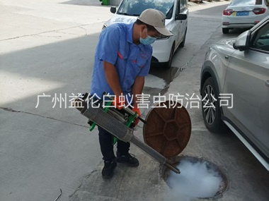 金沙洲下水道热烟雾灭杀蚊虫、蟑螂工程