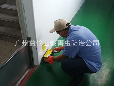 白云工厂车间室内布置粘鼠板工程